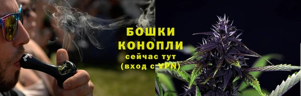 круглые Ельня