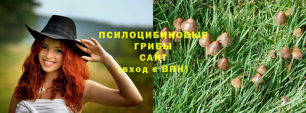 MESCALINE Елизово