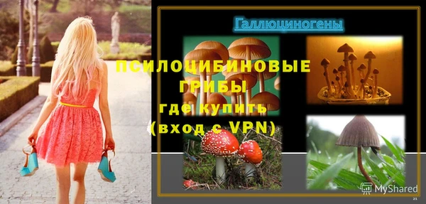 MESCALINE Елизово