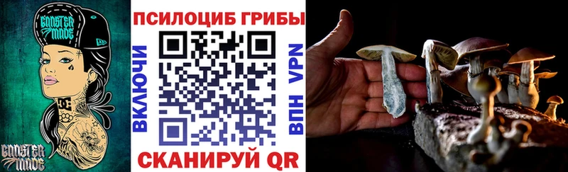 Галлюциногенные грибы Psilocybine cubensis Краснообск
